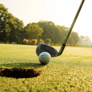 Golf Turf Golf Turf