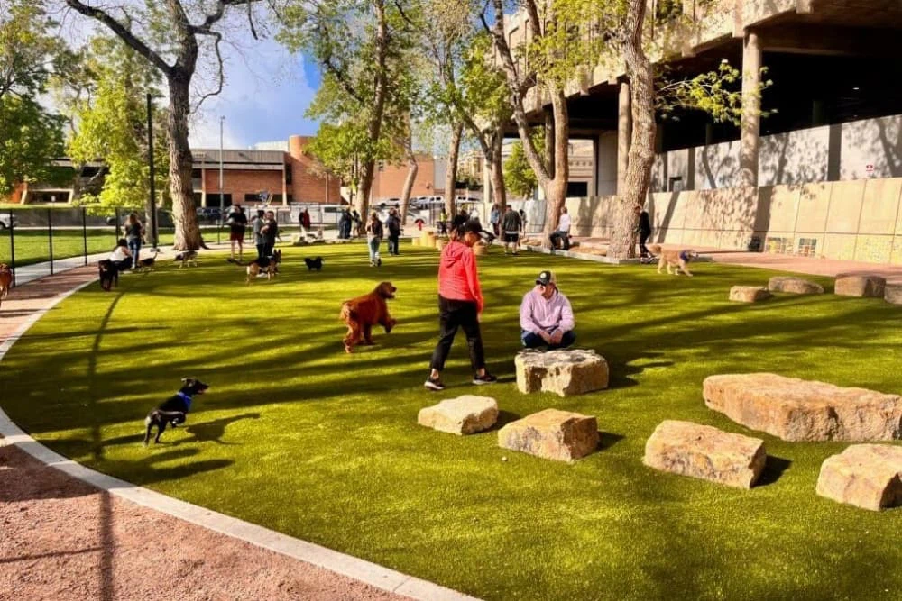 Colorado Springs Antlers Dog Park Installed in 2024= Colorado Springs Antlers Dog Park Installed in 2024=